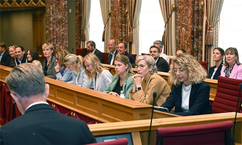 Der Vorstoß der Grünen-Fraktion wurde im Parlament ausgebremst
