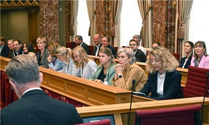Der Vorstoß der Grünen-Fraktion wurde im Parlament ausgebremst
