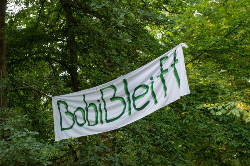 Der Wald, in dem Bäume für die Umgehung abgeholzt werden sollen, ist umkämpft
