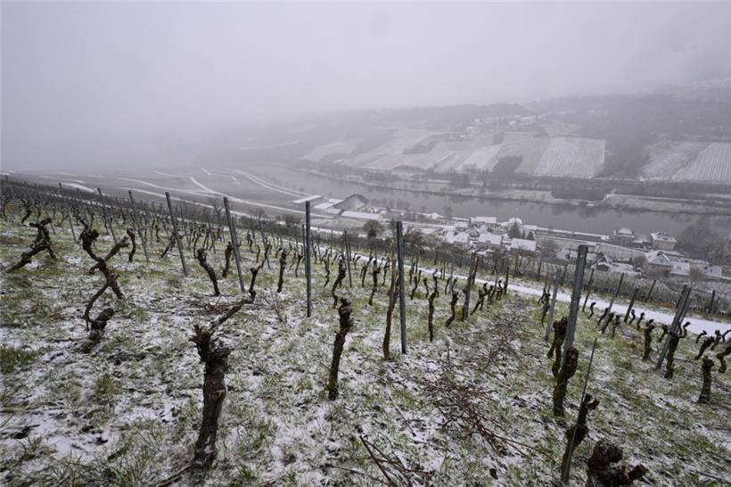 Der Winzerort soll aufgewertet werden