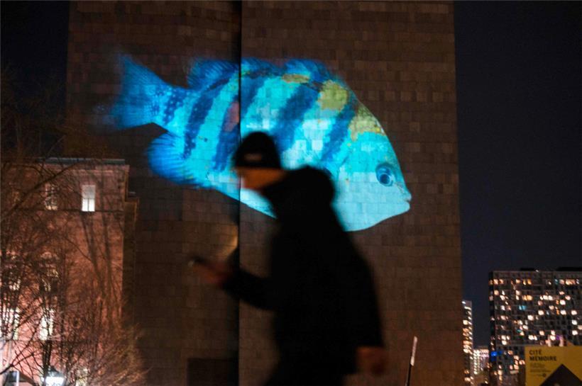 Der World Wildlife Fund hat einen Fisch auf ein Haus in Montreal projiziert
