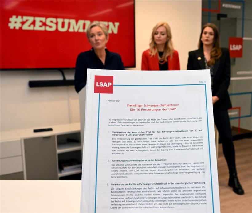 Der Zehn-Punkte-Plan der LSAP
