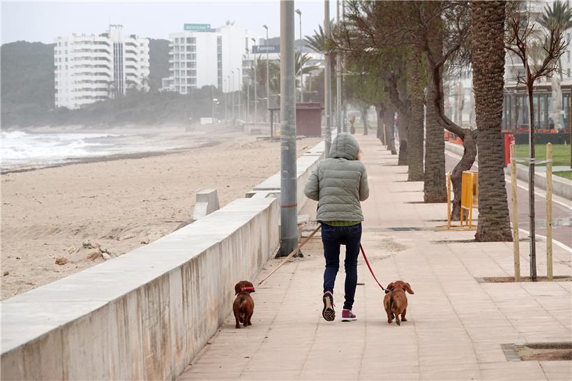 Der aktuellen Corona-Beschränkungen auf den Balearen gelten für zwei Wochen
