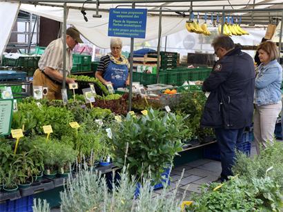Der beliebte Frischmarkt bietet viel Auswahl