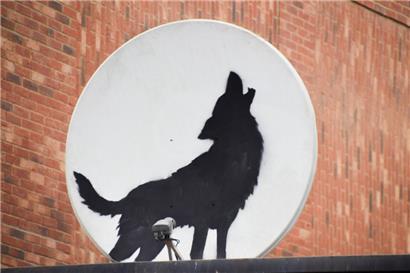 Der britische Künstler Banksy hat ein neues Kunstwerk enthüllt, das einen heulenden Wolf zeigt. Es wurde auf eine Satellitenschüssel gemalt, die auf dem Dach eines Geschäfts in Peckham im Süden Londons angebracht ist.
