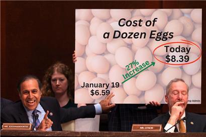 Der demokratische Abgeordnete Raja Krishnamoorthi beschwert sich am 5. März in Washington eindrücklich über die gestiegenen Preise der Eier in den USA
