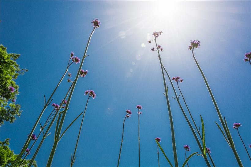 Mildes Frühlingswetter im März in Luxemburg mit sonnigem Himmel und grünen Landschaften