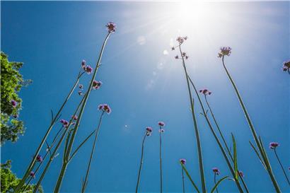 Mildes Frühlingswetter im März in Luxemburg mit sonnigem Himmel und grünen Landschaften