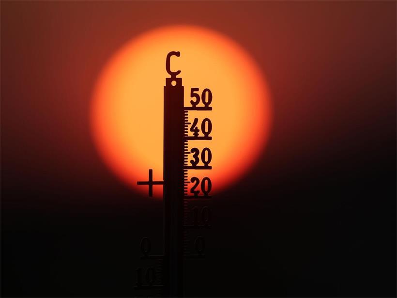 Der diesjährige Sommer war geprägt von heftigen, aufeinanderfolgenden Hitzewellen