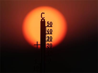 Der diesjährige Sommer war geprägt von heftigen, aufeinanderfolgenden Hitzewellen