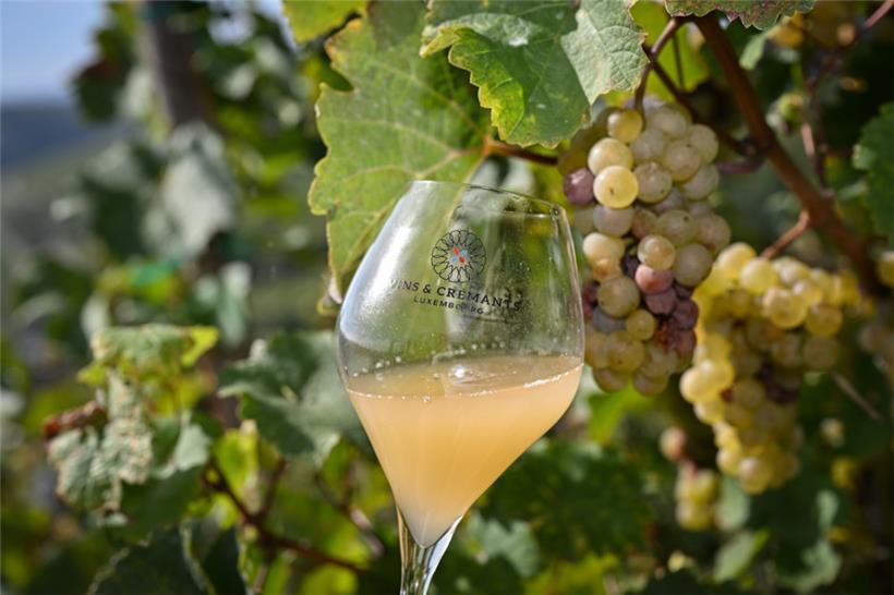 Der erste „Fiederwäissen“ schmeckt gut