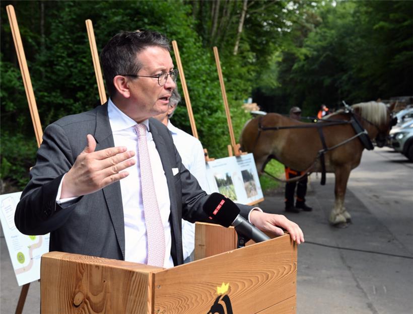 Der für Umwelt und Naturschutz zuständige Schöffe Maurice Bauer (CSV) kündigte am Mittwoch an, dass die Hauptstadt zusätzliche Wälder bekommt
