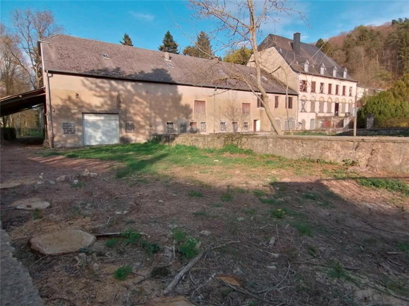 Der linke Teil des Schlosses soll weg
