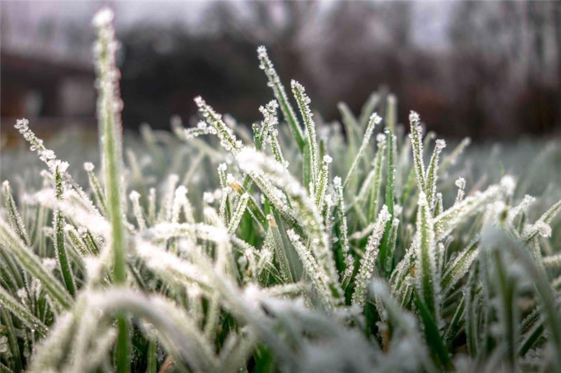 Der nationale Wetterdienst prognostiziert winterliche Temperaturen für das Wochenende
