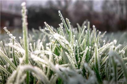 Der nationale Wetterdienst prognostiziert winterliche Temperaturen für das Wochenende
