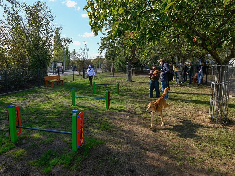 Der neue Hundepark in Raemerich bietet auf 1.190 Quadratmetern Platz zum Spielen und Toben