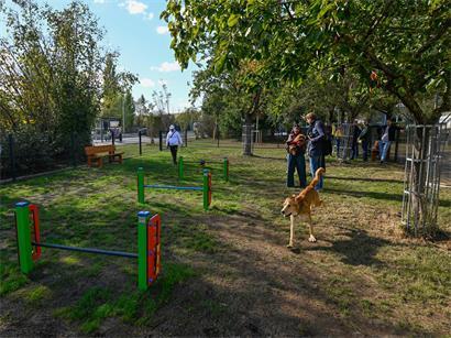 Der neue Hundepark in Raemerich bietet auf 1.190 Quadratmetern Platz zum Spielen und Toben