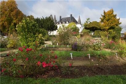 Der preisgekrönte Rosengarten des Münsbacher Schlosses
