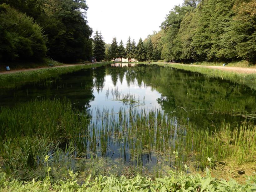 Der „Etang de l’Alzette“
