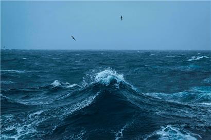 Derzeit wird nur etwa ein Prozent der Hochsee durch internationale Abkommen geschützt
