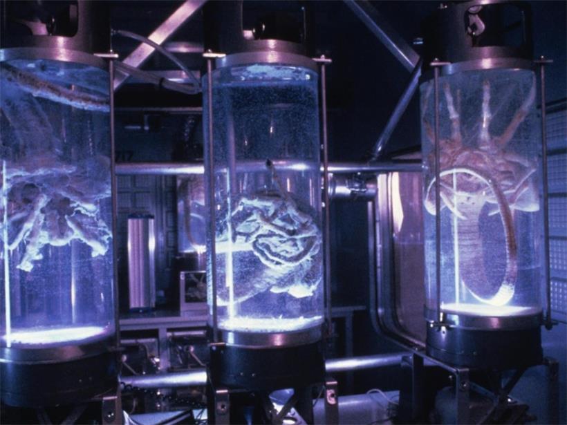 Des créatures iconiques dans l’histoire du film: les xénomorphes de la franchise „Alien“, conçus par le sculpteur et designer suisse, H.R. Giger