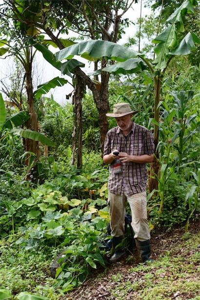 „Désormais, on m’appelle pour accompagner des projets de restauration écologique, de reforestation, de forêt urbaine et démontrer que non seulement cela va avoir des effets positifs en termes de biodiversité, d’adaptation au changement climatique, mais que ça peut avoir des côtés positifs pour la santé humaine“, explique Serge Morand
