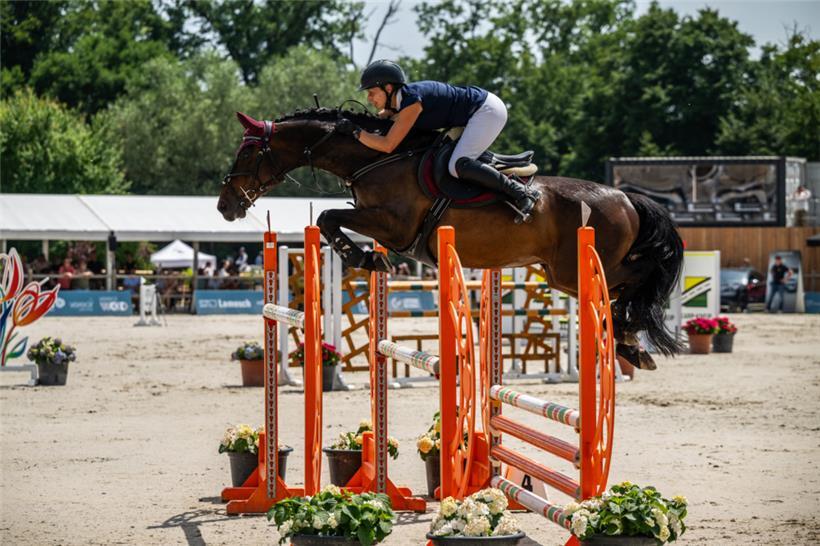 Diane Kettmann (hier auf Siegerpferd First Vleut) gewann die Landesmeisterschaft der Seniors im Springreiten zum zweiten Mal
