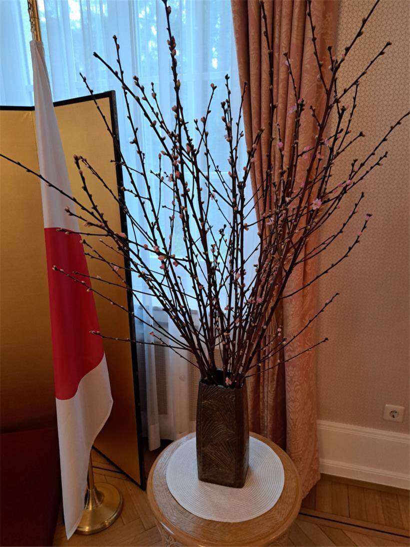 Die 63 Zweige eines japanischen Kirschbaums stehen für den 63. Geburtstag des Kaisers
