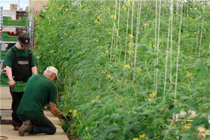 Die APEMH funktioniert als landwirtschaftlicher Verein
