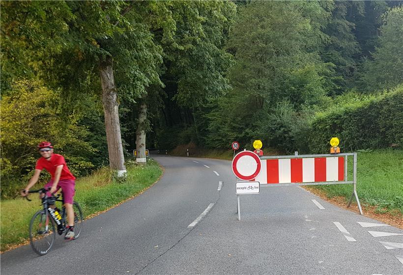 Die Abfahrt durch den Wald in Richtung Syren