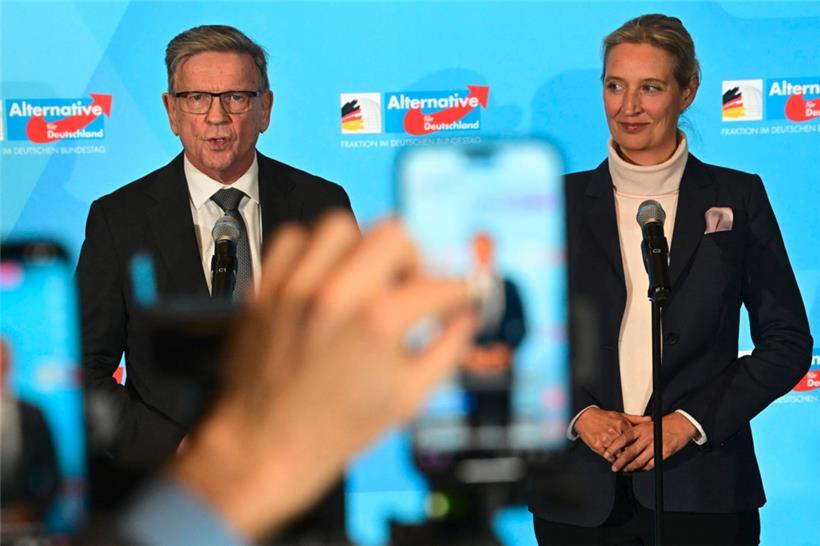 Die AfD stellt mittlerweile eine der größten Fraktionen im Bundestag. U.a. Gerold Otten und Alice Weidel sitzen für die rechtsextreme Partei im Parlament. 
