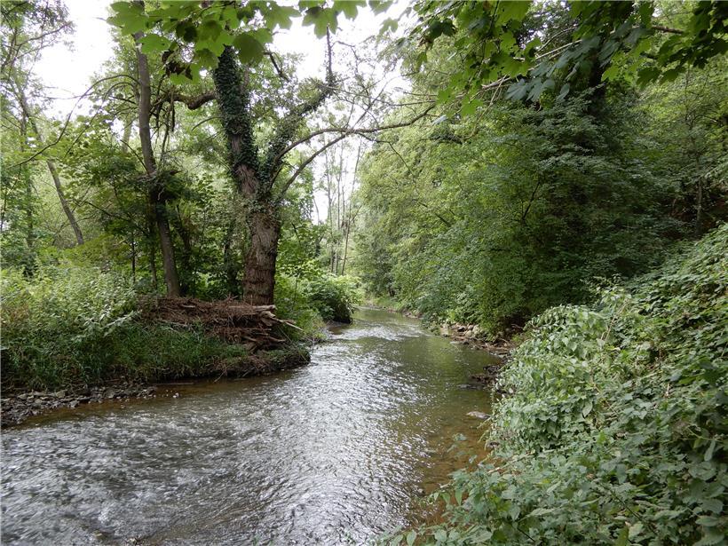 Die Alzette bei Hesperingen
