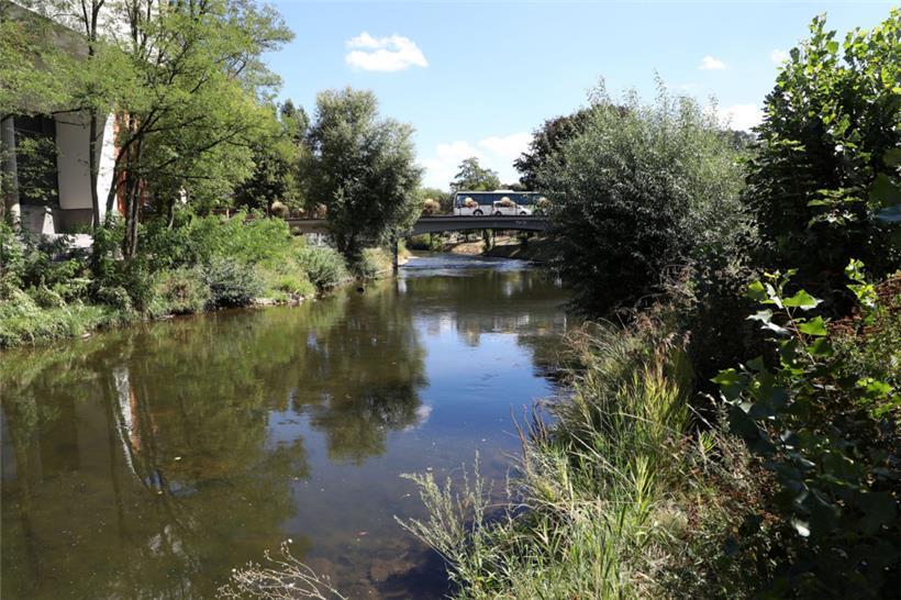 Die Alzette in Ettelbrück
