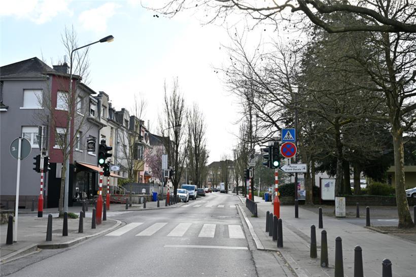 Die Anzahl der Bäume entlang der Straße wird von 22 auf 42 steigen, die der Park...