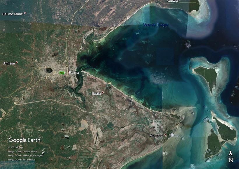 Die Aufnahme von Google Earth zeigt den Ort Palma in der Provinz Cabo Delgado
