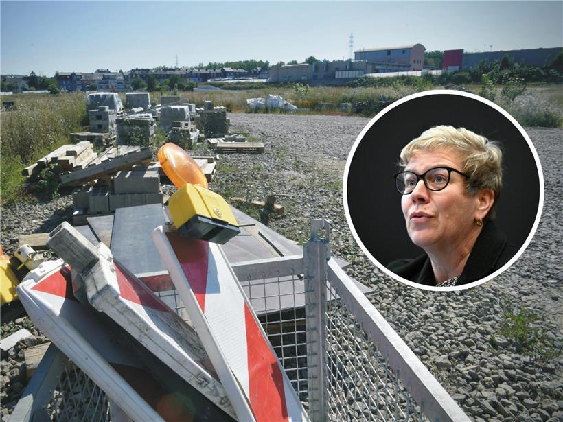 Baustelle mit überwuchertem Gelände und verfallenen Strukturen, langjährige Brachfläche der Ministerin geerbt