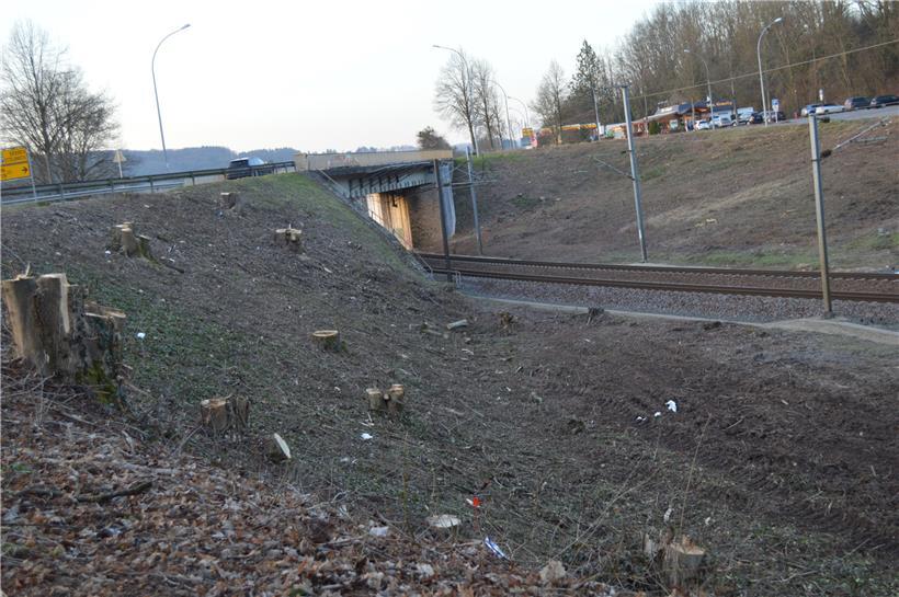 Die Behelfsbrücke soll sich an die rechte Flanke der bestehenden Brücke (in Richtung Schieren) anschmiegen
