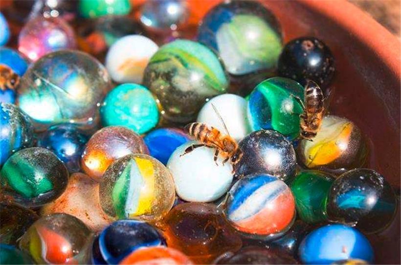 Die Bienentränke hilft den kleinen Flugtieren, bei warmem Wetter ihren Durst zu löschen
