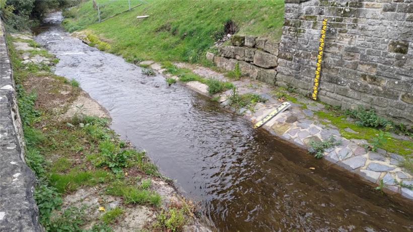 Die Blees in Bastendorf erholt sich langsam wieder
