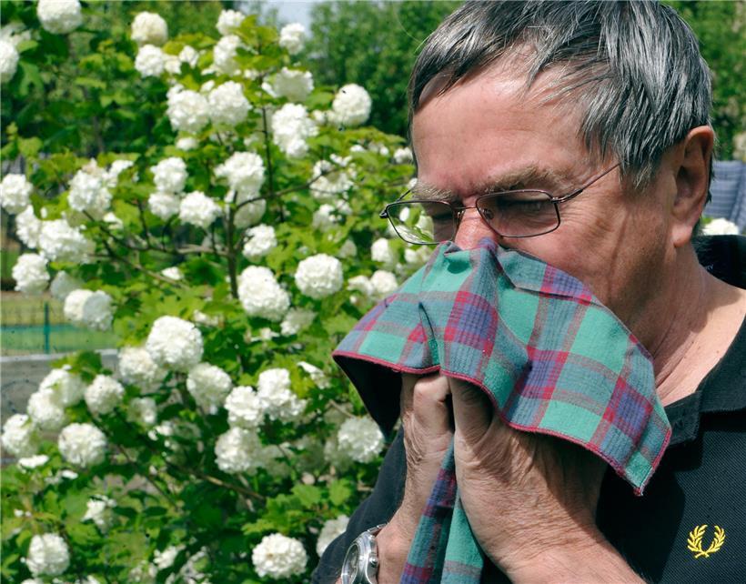 Die Blütenpracht des Frühlings macht vielen Menschen zu schaffen.
