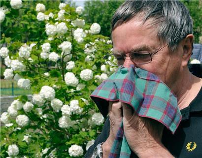 Die Blütenpracht des Frühlings macht vielen Menschen zu schaffen.
