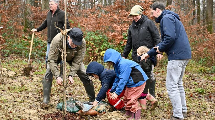 Bürgerinitiative pflanzt Bäume im Bobësch am 13. Dezember 2025 bei gemeinsamer Umweltaktion