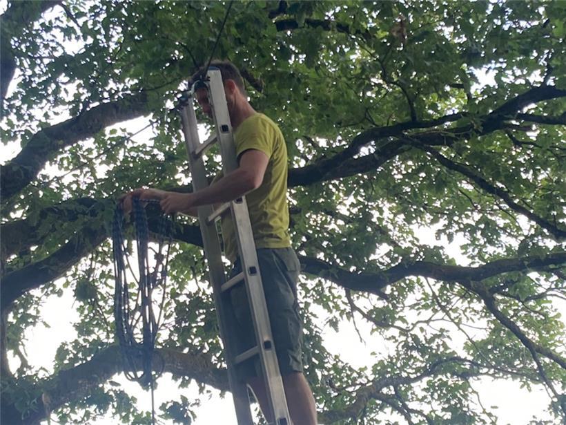 Die Cloefhänger werden eingehängt