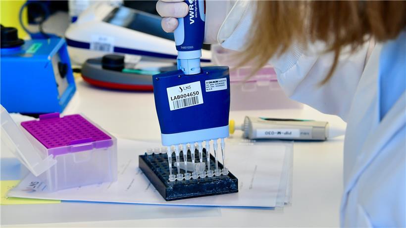 Die Coronavirus-Proben werden sorgfältig in kleine Reagenzgläser gefüllt
