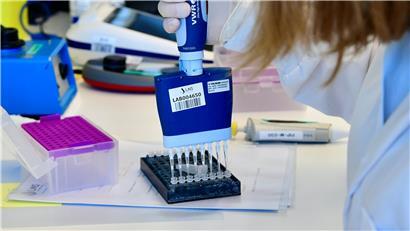 Die Coronavirus-Proben werden sorgfältig in kleine Reagenzgläser gefüllt
