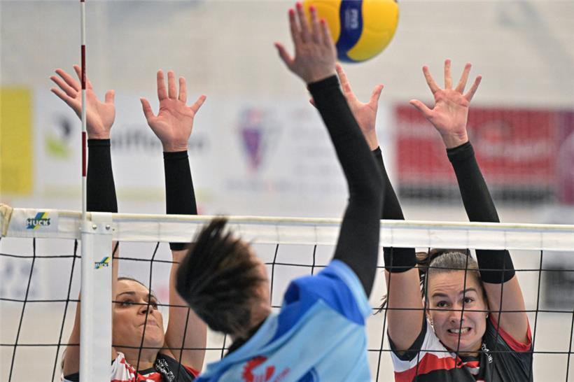 Die Damen aus Mamer empfangen am Samstagabend das Team aus Petingen
