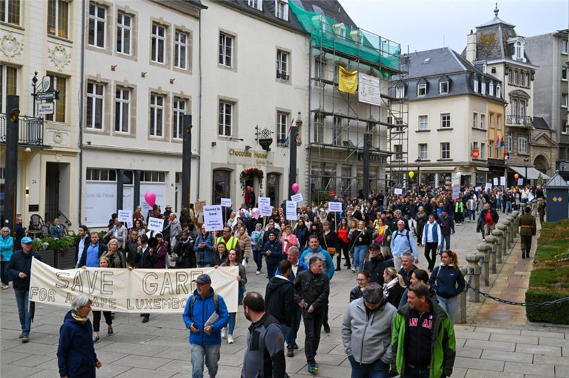 Die Demonstranten bei ihrer Ankunft vor vom Parlamentsgebäude am Samstag in der Hauptstadt
