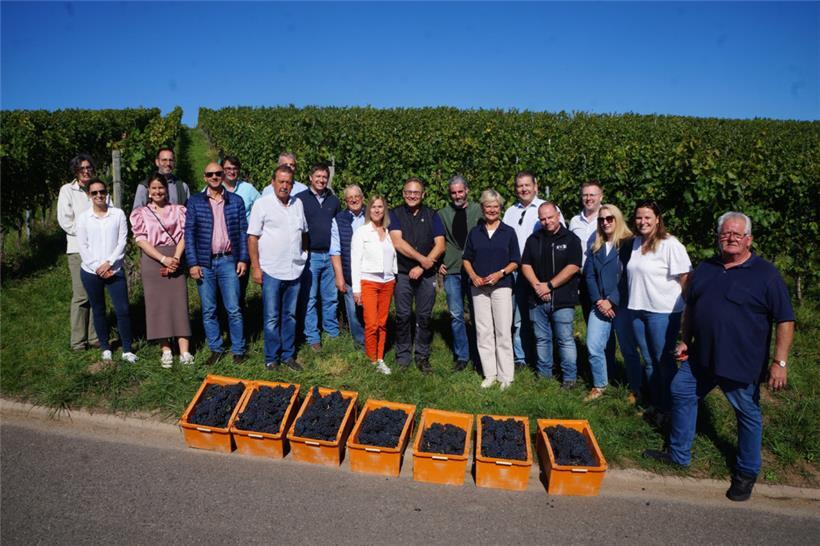 Die Ehrengäste des Empfangs leisteten ganze Arbeit bei der Weinlese
