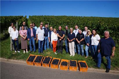 Die Ehrengäste des Empfangs leisteten ganze Arbeit bei der Weinlese
