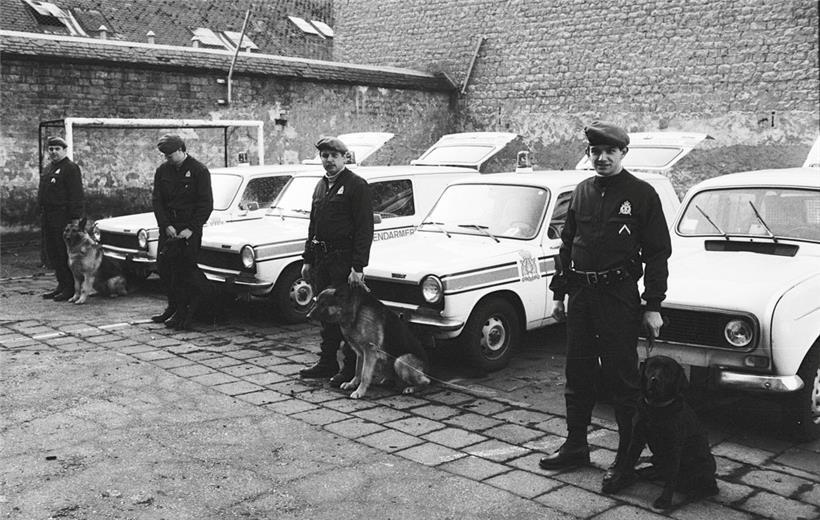 Die Eliteeinheit BMG
